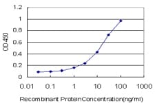 IHC-plus™ RARA / RAR Alpha Antibody (clone 2D2)