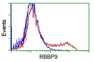 RBBP9 Antibody (clone OTI2G2)