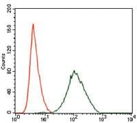 PLK1 / PLK-1 Antibody (Amino Acid: 331-508, clone 3C11)