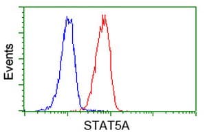 STAT5A Antibody (clone OTI11A9, Carrier-free)