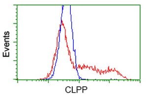CLPP Antibody (clone OTI1F6, Carrier-free)