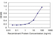 RAG2 / RAG-2 Antibody (clone 2G8)