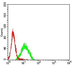 CD96 / TACTILE Antibody (clone 5E6C12)