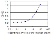 Monoclonal Mouse anti-Human CLINT1 Antibody (clone 1E6, IHC, WB)