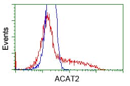 ACAT2 Antibody (clone OTI3A11, Carrier-free)