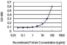 GATA1 Antibody (clone 3G6)