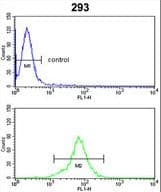 PSMD13 Antibody (aa269-298)