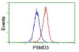 p58 / PSMD3 Antibody (clone OTI2C2)