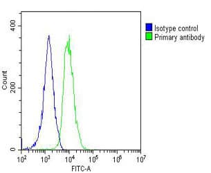 Monoclonal Mouse anti-Human FGFR1OP2 Antibody (clone 1675CT713.89.84, WB)