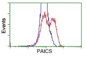 PAICS / ADE2 Antibody (clone OTI2C9)