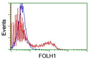 PathPlus™ FOLH1 / PSMA Antibody (clone 5A9)