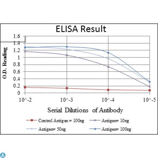 CD1A Antibody