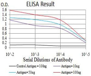 RUNX3 Antibody (clone 7E2B8)