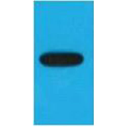 EBFP / Blue Fluorescent Protein Enhanced Antibody (clone Mix)