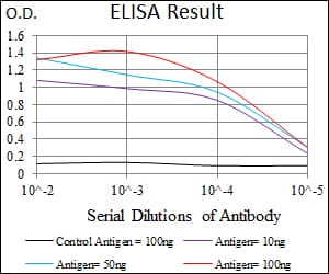 TP53BP1 / 53BP1 Antibody (aa574-773, clone 6B3E10)