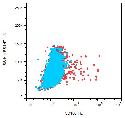 Monoclonal Mouse anti-Human VCAM1 / CD106 Antibody (clone STA, PE, IHC)