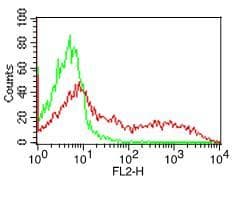 HLA-DQA1 Antibody (clone SPVL3)