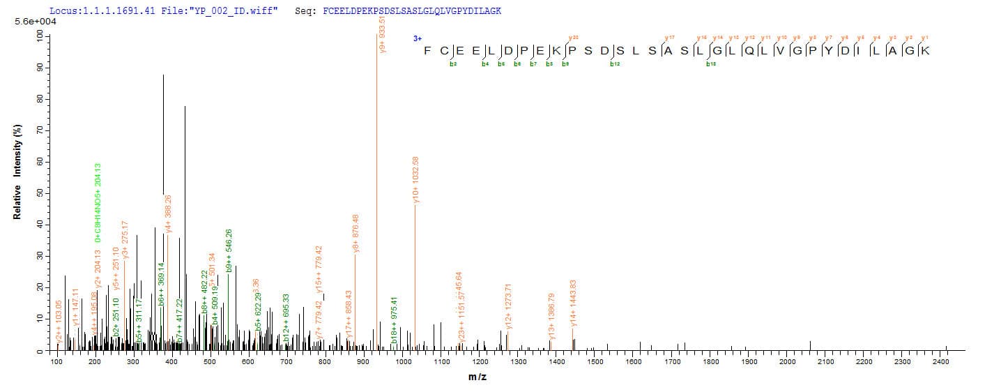 Human HPF1 Protein (Recombinant 10His-SUMO, N-terminus + Myc, C-terminus)