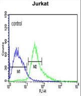 Polyclonal Rabbit anti-Human ATF1 Antibody (aa193-219, WB)