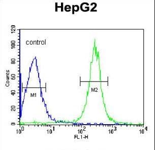 ANGPTL4 Antibody (aa138-167)
