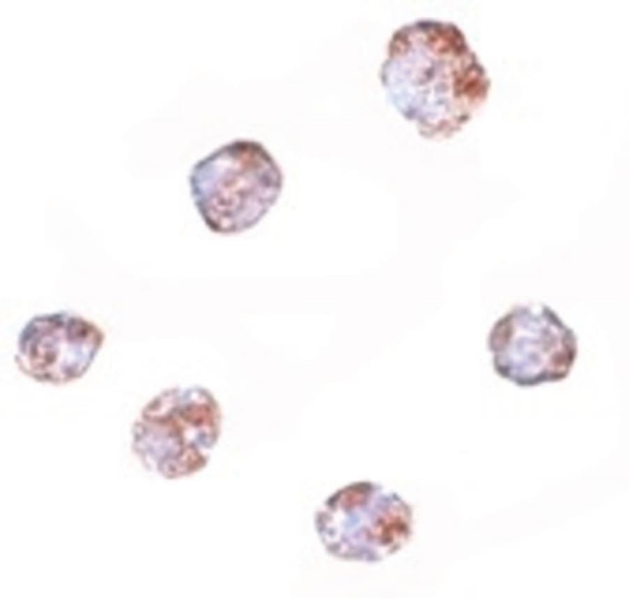 IHC-plus™ RGS21 Antibody