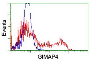 IHC-plus™ GIMAP4 Antibody (clone 1C6)
