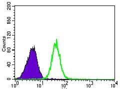 Monoclonal Mouse anti-Human PSAP / Prosaposin Antibody (clone 4D5F4, Amino Acid: 325-524, IHC, IF, WB)