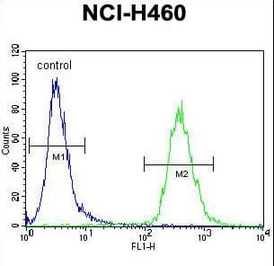 ZNF433 Antibody (aa36-64)