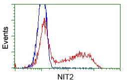 NIT2 Antibody (clone OTI3D5)