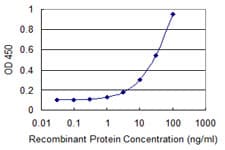 PMP70 Antibody (clone 2H6)