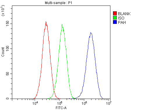 PH / PAH Antibody
