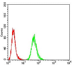 HIST2H3C Antibody (clone 2D7B3)