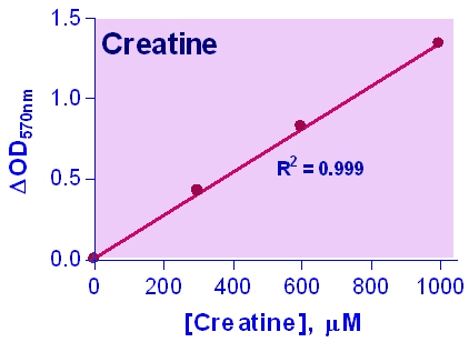 Creatine Assay Kit (Colorimetric/Fluorometric)