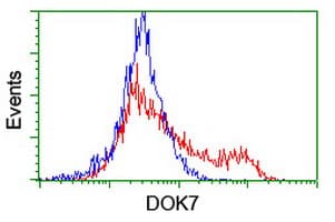 DOK7 Antibody (clone OTI3C12, Carrier-free)