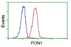 PON1 / ESA Antibody (clone OTI2A6, Carrier-free)