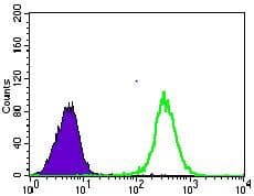 SLC2A4 / GLUT-4 Antibody (Amino Acid: 224-353, clone 3G10A3)