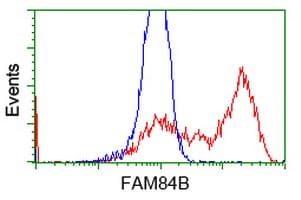 FAM84B Antibody (clone OTI4A4)
