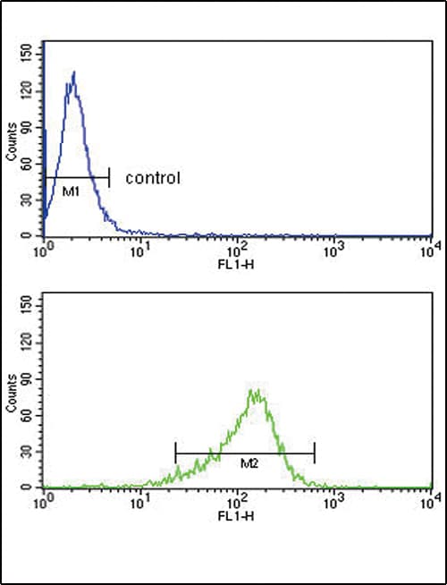 IHC-plus™ IL12A / p35 Antibody (aa168-195)