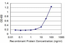 GNG11 Antibody (clone 2H5)