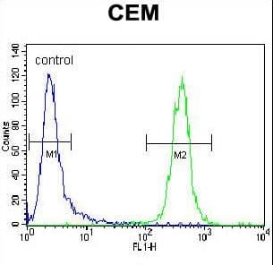 Polyclonal Rabbit anti-Human TNF Alpha Antibody (aa187-216, WB)