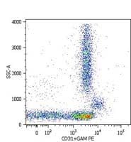 PECAM-1 / CD31 Antibody (clone MEM-05)