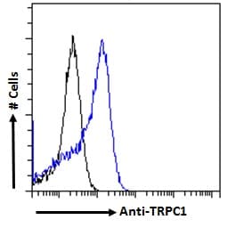 IHC-plus™ TRPC1 Antibody (aa722-733)