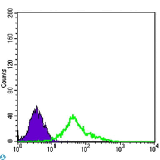 NGFR / CD271 / TNR16 Antibody