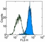 Monoclonal Rat anti-Mouse PDGFRB / PDGFR Beta Antibody (clone APB5, IHC)