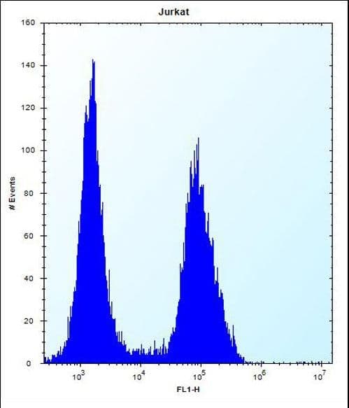 TMPRSS15 / Enterokinase Antibody (aa964-994)