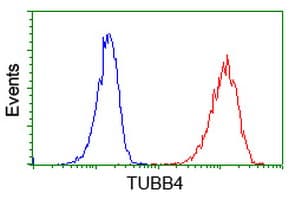 TUBB4 / Tubulin Beta 4 Antibody (clone 3C12, Carrier-free)