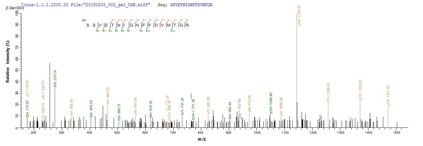 Mouse C1QTNF3 / CTRP3 Protein (Recombinant 10His, N-terminus + Myc, C-terminus)