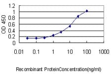 CAPG Antibody (clone 1F1)