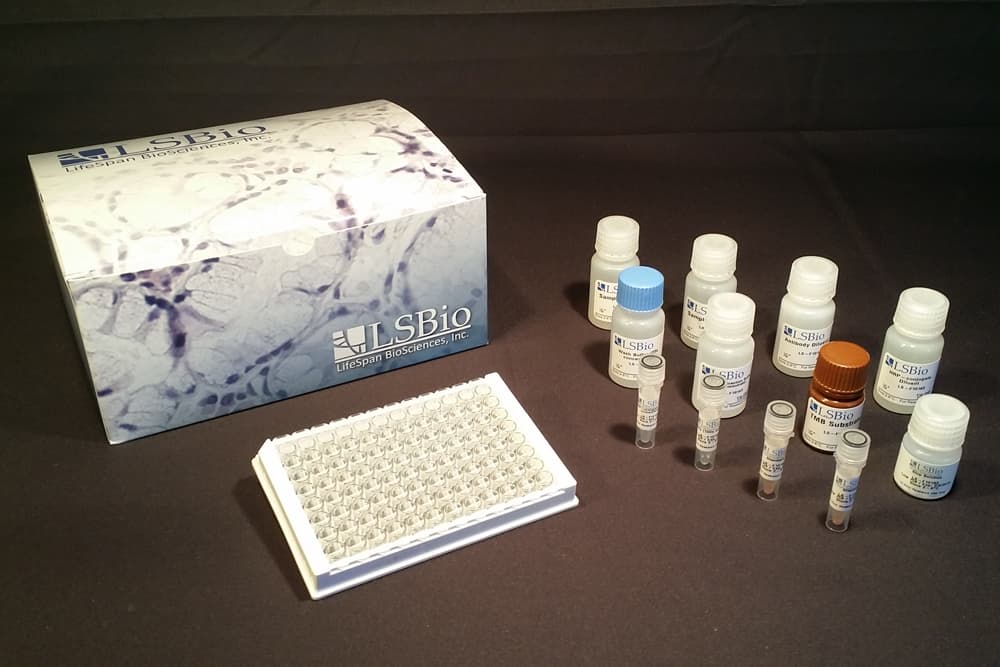 Spinach RuBisCO ELISA Kit (Competitive EIA)