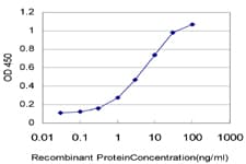 Monoclonal Mouse anti-Human TTR / Transthyretin Antibody (clone 4D8, WB)